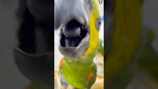 Come and get a kiss from me  #…