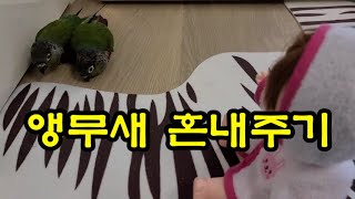 코뉴어 혼내주기