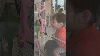 앵무새에게 말을 걸어보았다