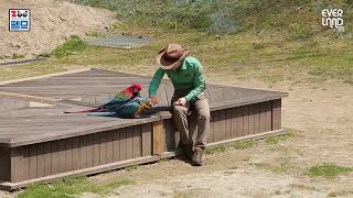 ZOO뗌므 에버랜드 앵무새와 사육사의 트루럽 스토리