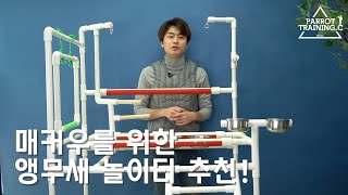 앵무새 놀이터 추천! 청금강, 매커우를 …