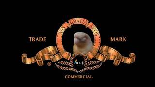 [새초롬샵TV] 과일펠렛 적응 영상