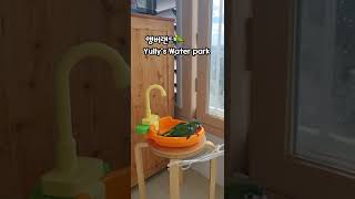 얘는오리인가? 앵무새인가?? 물놀이 러버 한스마카우 율리