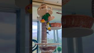 카이큐라고 쓰고 박쥐라고 읽는다.