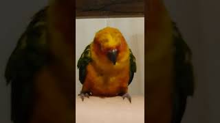 목도리와 썬코뉴어 어색한사이