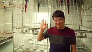 앵무새동물원 2019 프로모션 영상