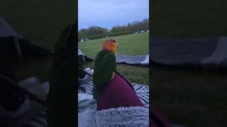 Caique Titch talking, saying w…