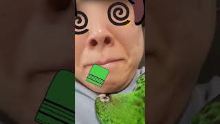 배추 피부관리실 #쟈딘앵무배추 #shorts