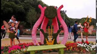 장미축제 앵무새 오리 축제