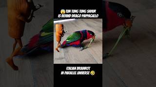 #tungtungtungsahur behind Drago pappagallo #italianbrainrot in parallel universe #lirililarila