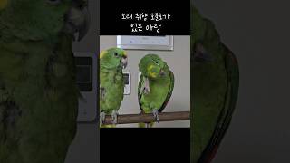 엄마 노래는.. 아  산토끼 안불러 주면 삐질거야!#아…