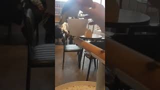 귀여운 카이큐앵무새