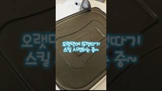 #반려동물 #앵무새 #앵무새추천 #엄브렐라코카투 #뚜껑…