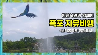 안산시민과 함께한 마르코 자유비행 / 노적봉폭포 공원에서