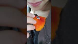 긁긁긁긁긁 #썬코뉴어