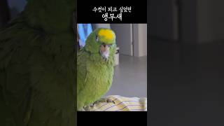 수염 ON. 근데 거긴 왜 긁어…?