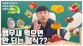 앵무새 먹어도 되는 음식! 잘 알고계신가요 ?! (LI…