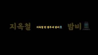 앵무새랑 지하철 놀이 #shorts #parrot #c…