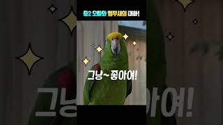 오빠와 별이 (아니 아빠한테 하필)