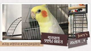 [Joey&#39;s 귀농일기_4] &quot;앵무새와…
