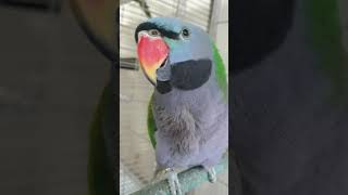 몽룡이와 춘향이 I 남남커플이었니?