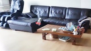 앵무새랑 놀아주다가 갑자기 도망가봤어요^^ 앵무새 수리…