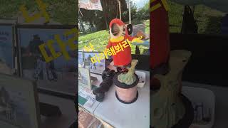 따라쟁이 앵무새 #두물머리 #양수리 #연잎핫도그 #추억…