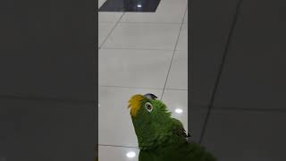 #누나 해봐 #왜 말을 못햐 누난 내 여자 니까.누난 …