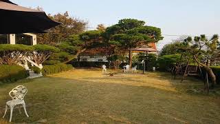 청금강 호출훈련