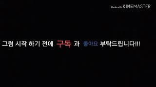 앵무새가 펠렛을 먹지 않을 때의 대처법