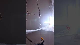 #썬코뉴어 #birds #parrot #pets #cu…