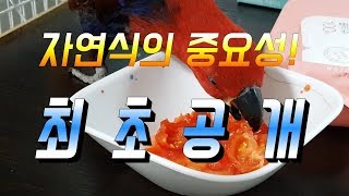자연식이 왜 중요한지 알려드리겠습니다