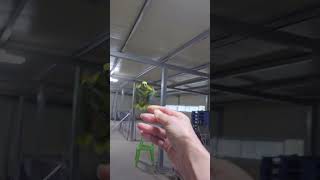 #잠뜨리도창고형인가?