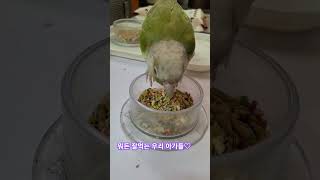 우리 애기 뭐든 잘먹어♡