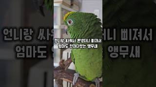 싸워서 혼냈더니 삐져가지고 불러도 안쳐다보는거 국룰인가…
