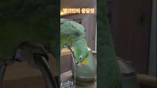 별이만의 옹달샘! 역시 정수기물이 최고야!