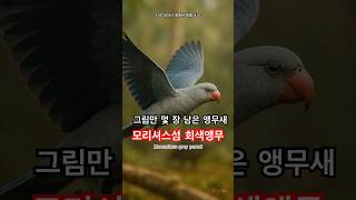 [지구에서 볼 수 없는 동물…