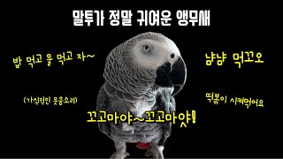 [김루이 녹취록] 엄마 잘자요  / 아저씨! 고구마 갖…