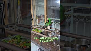 밥먹다 가로본능 선보이는 뉴기니아 앵무새 크롱이  #뉴기니아 #parrot #루티노퀘이커 #뉴기니아 #루티노퀘이커 #뉴기니아앵무 #동물키우기 #동물키우기 #뉴기니아앵무새