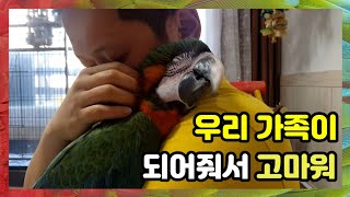 우리가족이 되어줘서 고마워  만나지 못할뻔했던 앵무새들…