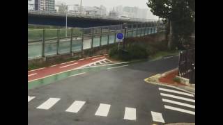 진국이 자유비행