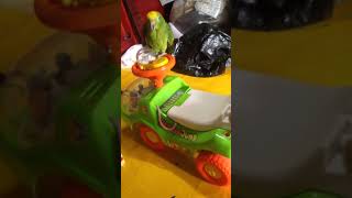 아기 자동차위에 옐로우 크라운 아마존