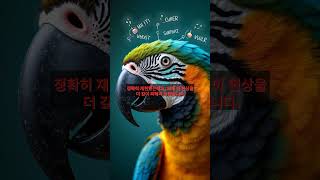 앵무새가 욕 100개를 외우면 정말 인간보다 기억력이 …