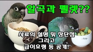 앵무새정보_알곡 및 펠렛설명 및 급이요령