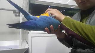 청금강 하늘이 오늘은 재미나게~