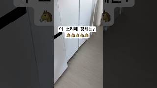 뭉실이 사고치는 현장급습#앵무새 #동물 #반려동물 #c…