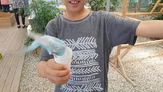 애니팜 앵무새 농장