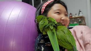 꽁패.앵무새.한스마카우.뽀미.한나.2022.1.25