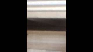 우리집장미앵무