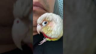 소망이의 일상(코뉴어)